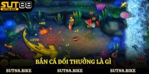 Bắn Cá Đổi Thưởng Là Gì - Chinh Phục Thế Giới Đại Dương