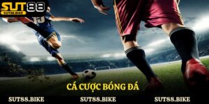 Cá Cược Bóng Đá - Sân Chơi Hấp Dẫn Tại Nhà Cái Sut88