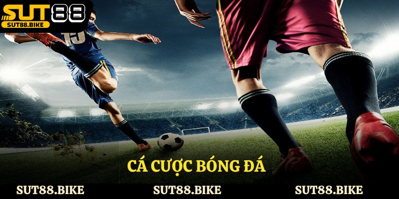 Cá Cược Bóng Đá - Sân Chơi Hấp Dẫn Tại Nhà Cái Sut88