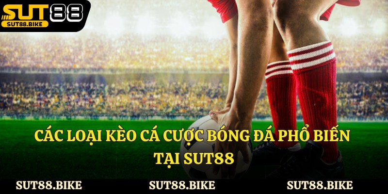 Các loại kèo cá cược bóng đá phổ biến tại Sut88
