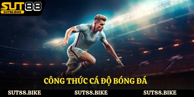 Công Thức Cá Độ Bóng Đá - Cơ Hội Giúp Cược Thủ Thắng Lớn