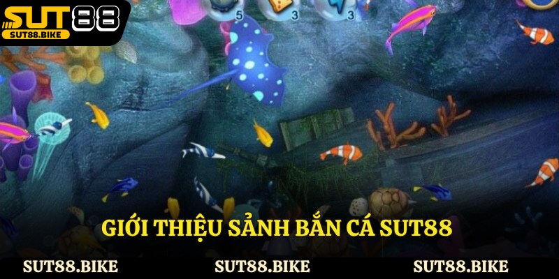 Giới thiệu sảnh bắn cá Sut88