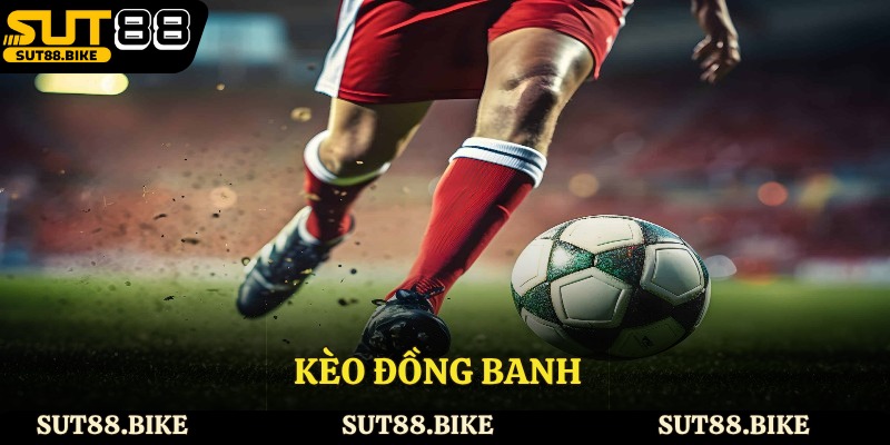 Kèo Đồng Banh - Tìm Hiểu Chi tiết Về Kèo Đấu Thú Vị