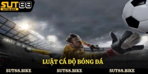 Luật Cá Độ Bóng Đá - Quy Định Cơ Bản Cần Lưu Ý Khi Tham Gia