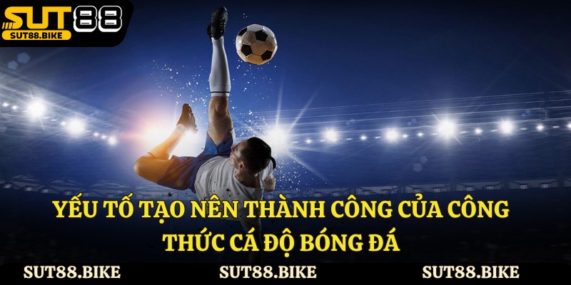 Yếu tố tạo nên thành công của công thức cá độ bóng đá